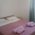 招待所 And Camelia 3*