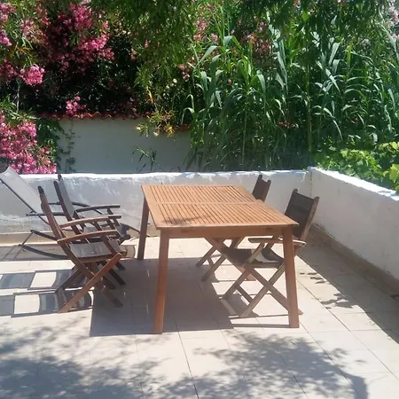 Guest house And Camelia *