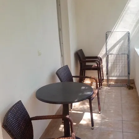 And Camelia Guest house