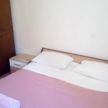 And Camelia Guest house
